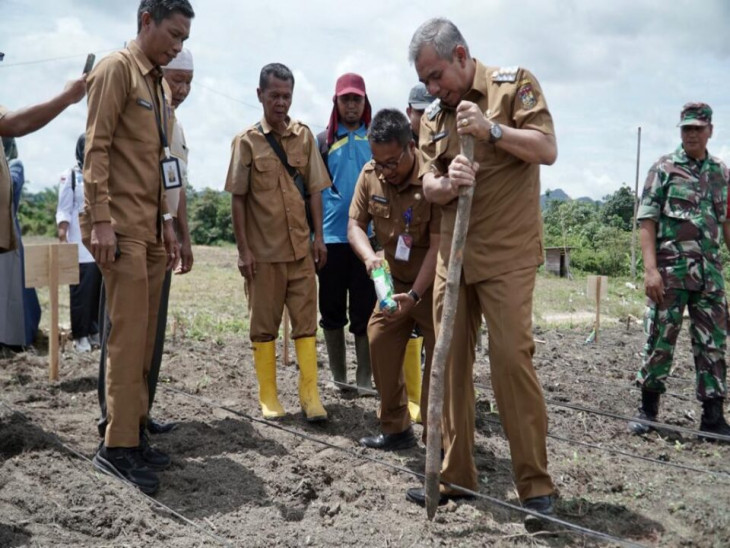 Perkuat Ketahanan Pangan di Kabupaten Kampar, Pj Bupati Kampar Menanam Jagung di Rantau Panjang Desa Salo.