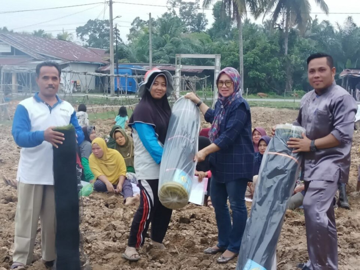 Peduli Dengan Petani Kecil, Jalan-jalan Sore Haswinda Serahkan Waring untuk Pagar Kebun