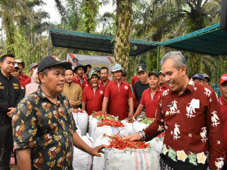 Panen Cabe, Pj. Bupati Kampar Apresiasi Kebun Cabe 50 Hektar Milik Warga Danau Lancang.