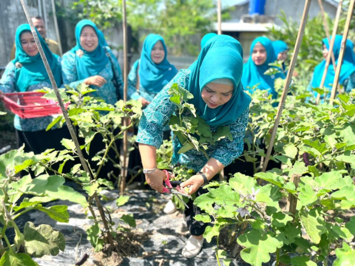 Tinjau Program HATINYA PKK, Ketua TP PKK Kampar Deswita : Mari Kita Manfaatkan Lahan Pekarangan dengan Tanaman Produktif.