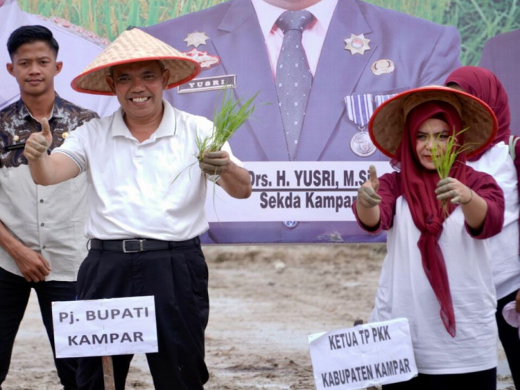 Wujudkan Ketahanan Pangan, Kampar Siap Produksi Padi khas Kampar dengan Brand Ulu Kasok.