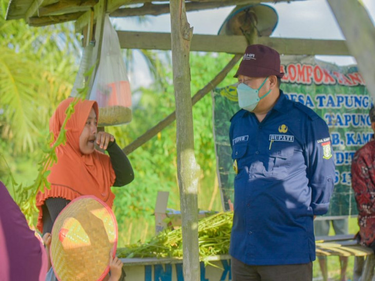 Ditinjau Bupati Kampar, Petani di Tapung Lestari Teteskan Air Mata.