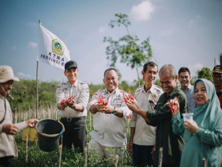 Ketua KTNA Provinsi Riau Lakukan Panen Cabe Seluas Dua Hektar Milik Millenial Muda
