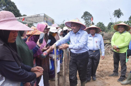 Usai Pimpin Upacara Peringatan Hari Pahlawan, Pj. Bupati Kampar Tanam Jagung Bersama Emak – emak Pulau Birandang.