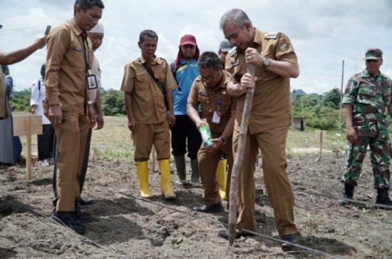Perkuat Ketahanan Pangan di Kabupaten Kampar, Pj Bupati Kampar Menanam Jagung di Rantau Panjang Desa Salo.